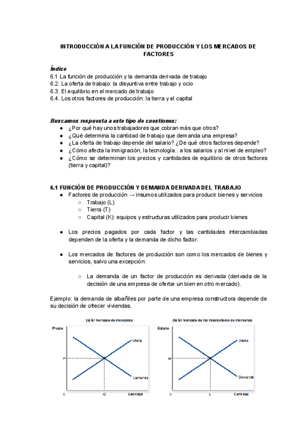 Miniatura del documento Tema-6-Introduccion-a-la-funcion-de-produccion-y-los-mercados-de-factores-1.pdf