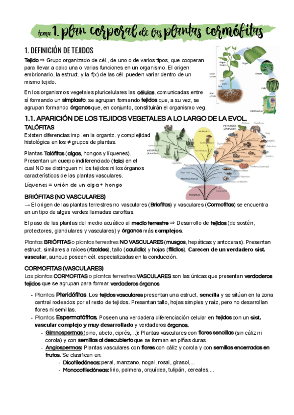 Miniatura del documento Tema-1.pdf