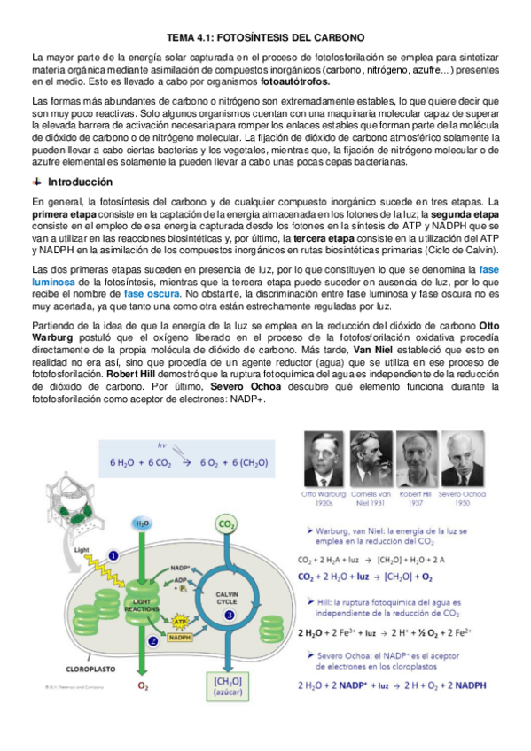 Miniatura del documento tema-4.pdf