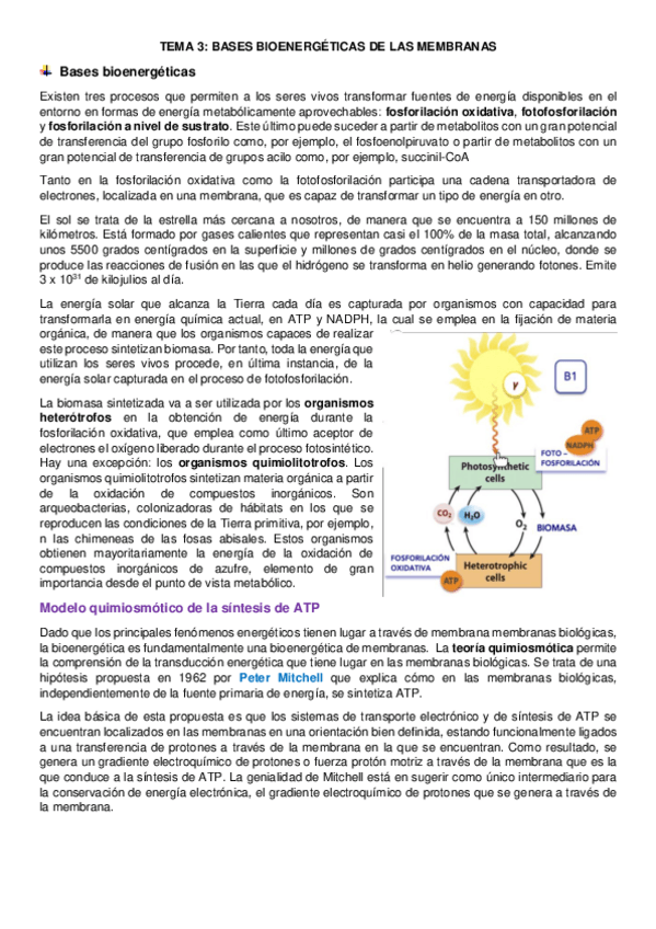 Miniatura del documento tema-3.pdf