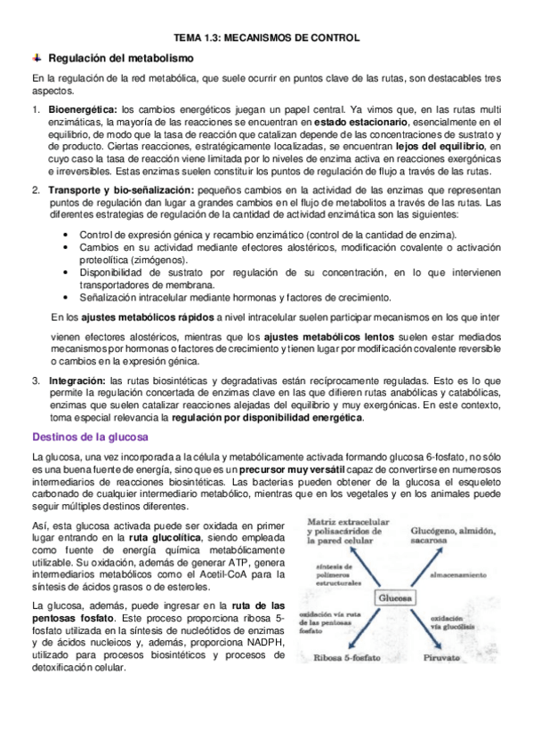 Miniatura del documento tema-1.pdf