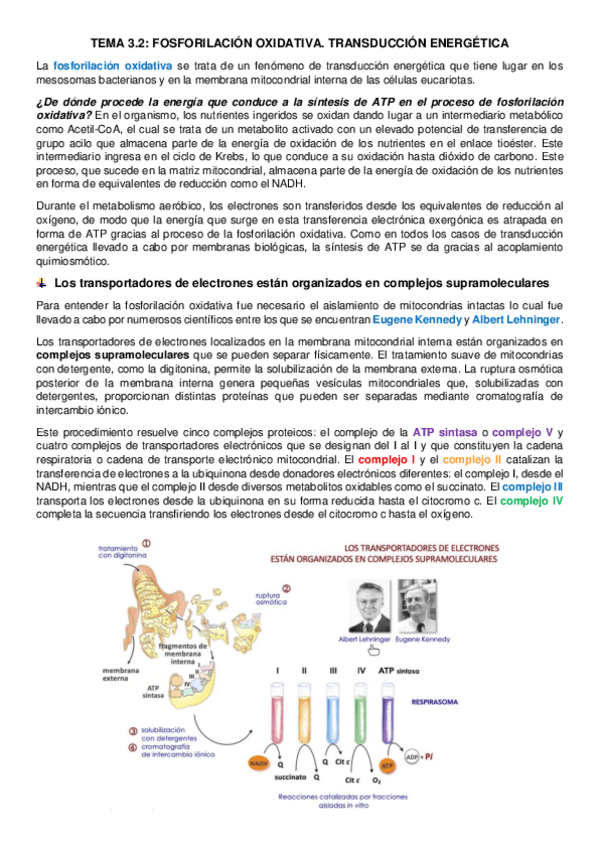 Miniatura del documento tema-3.pdf