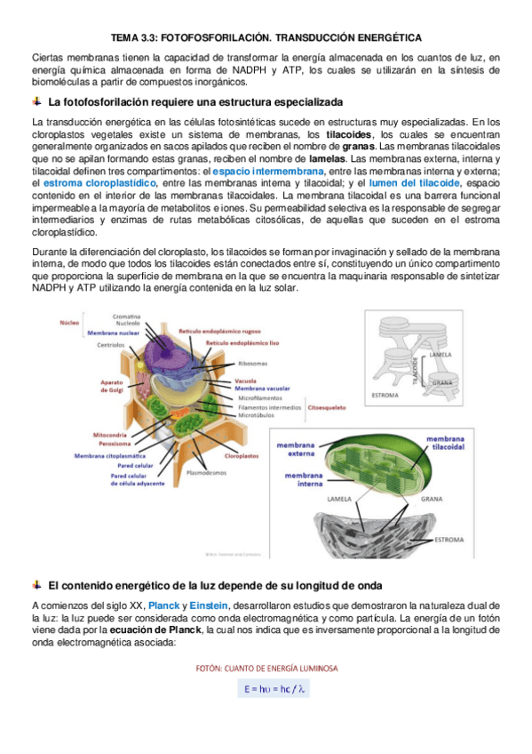 Miniatura del documento tema-3.pdf