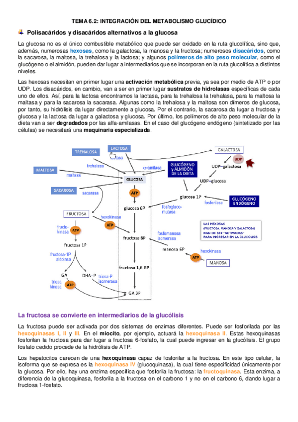 Miniatura del documento tema-6.pdf