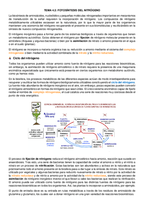 Miniatura del documento tema-4.pdf