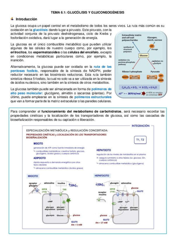 Miniatura del documento tema-6.pdf
