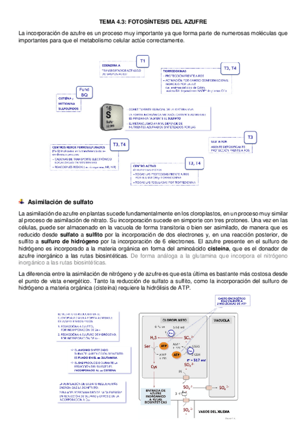 Miniatura del documento tema-4.pdf