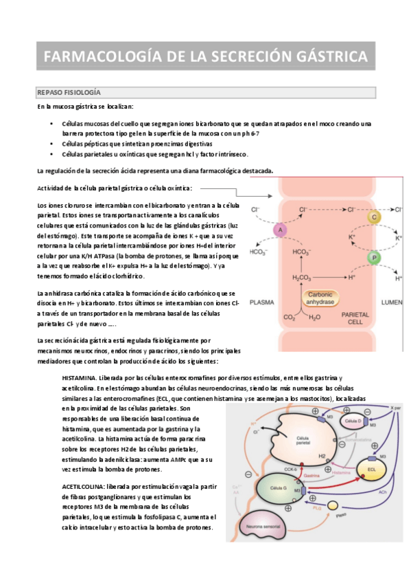 Miniatura del documento Farma-digestivo.pdf