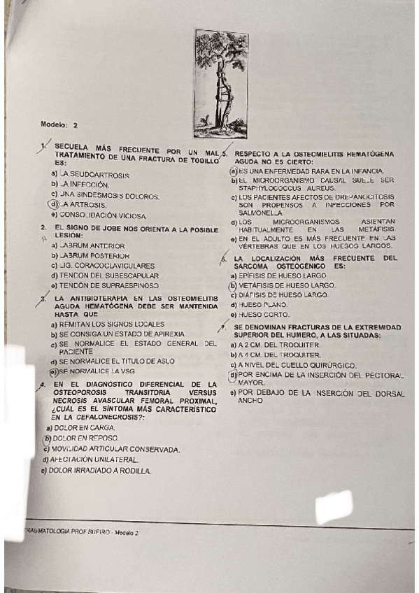 Miniatura del documento Traumatologia-Febrero-2022.pdf
