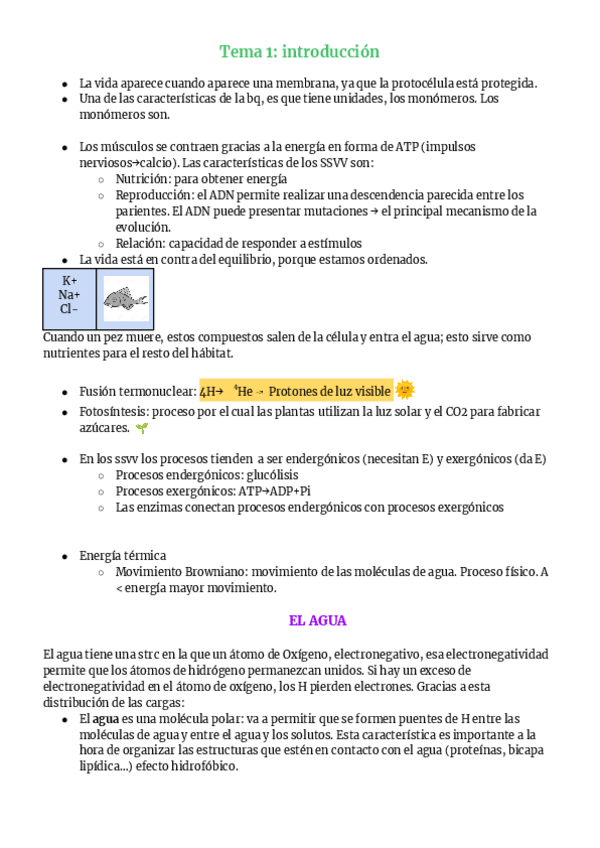 Miniatura del documento Tema-1-introduccion-1.pdf