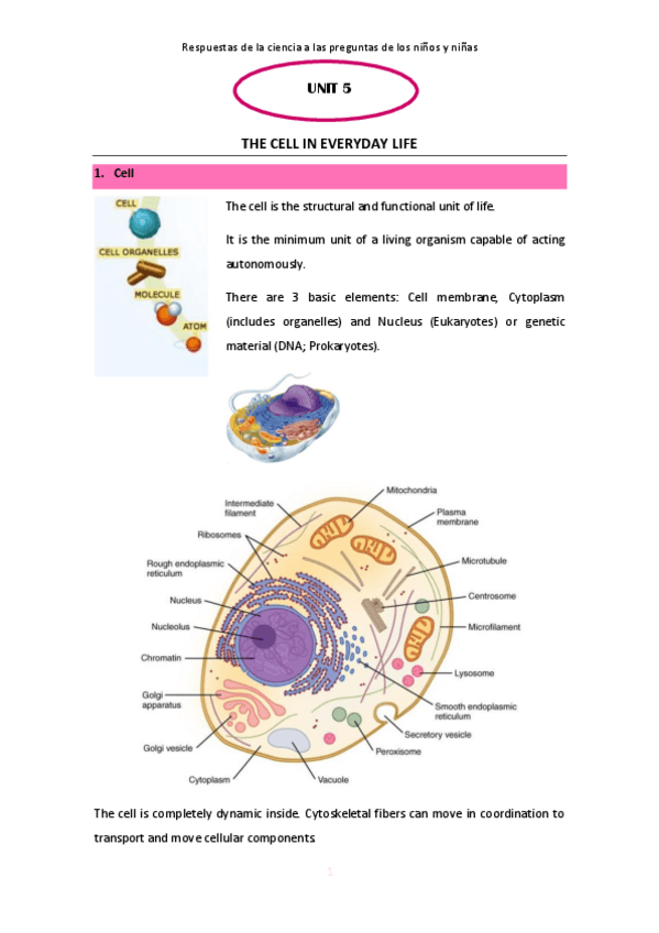 Miniatura del documento UNIT-5-CIENCIAS.pdf