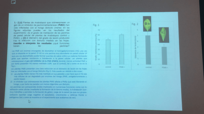 Miniatura del documento WhatsApp-Image-2022-02-21-at-11.jpg