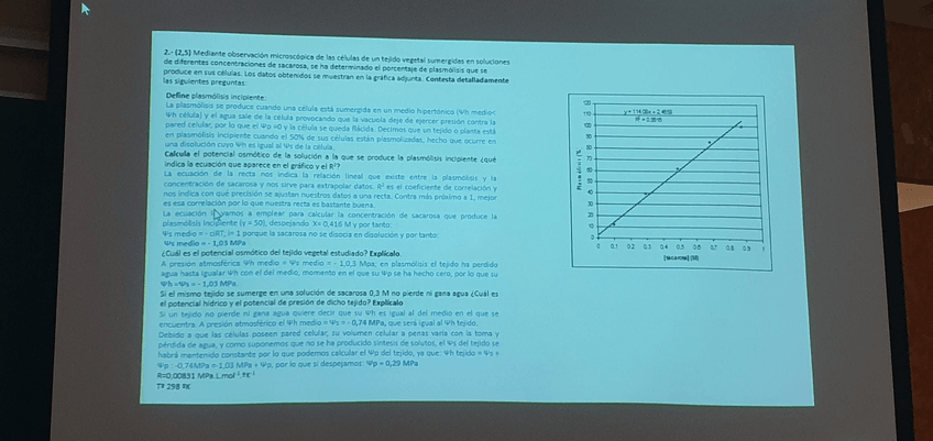 Miniatura del documento WhatsApp-Image-2022-02-21-at-11.jpg