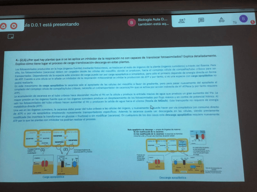 Miniatura del documento WhatsApp-Image-2022-02-21-at-11.jpg