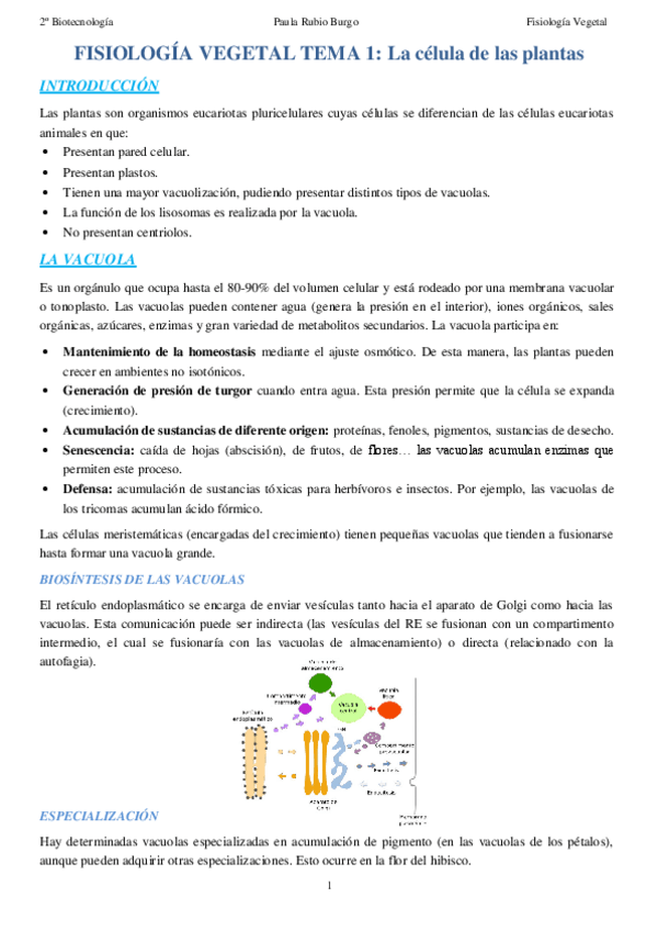Miniatura del documento Apuntes-Paula.pdf