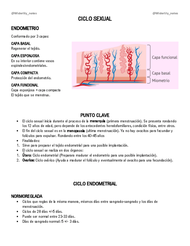 Miniatura del documento Ciclo-sexual.pdf