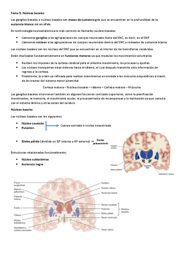 Miniatura del documento Tema-9.pdf