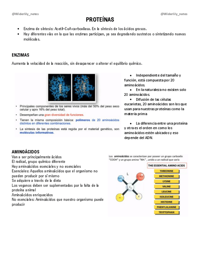 Miniatura del documento Proteinas.pdf