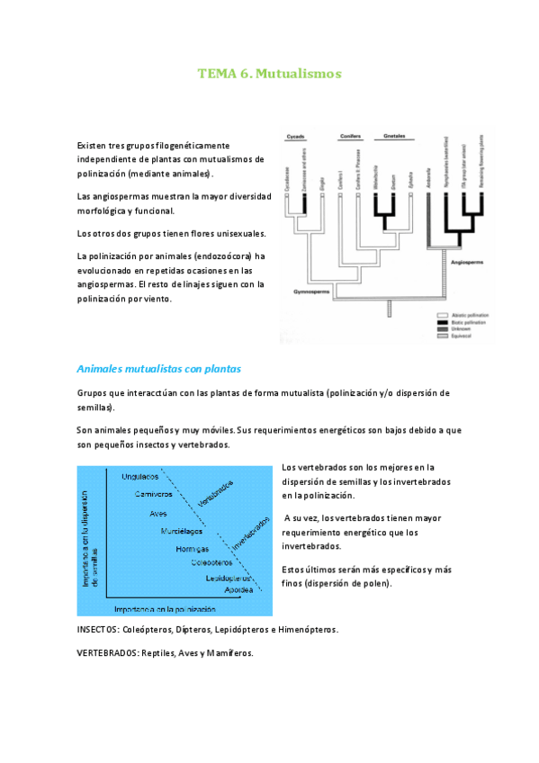 Miniatura del documento TEMA 6 avances en botanica.pdf
