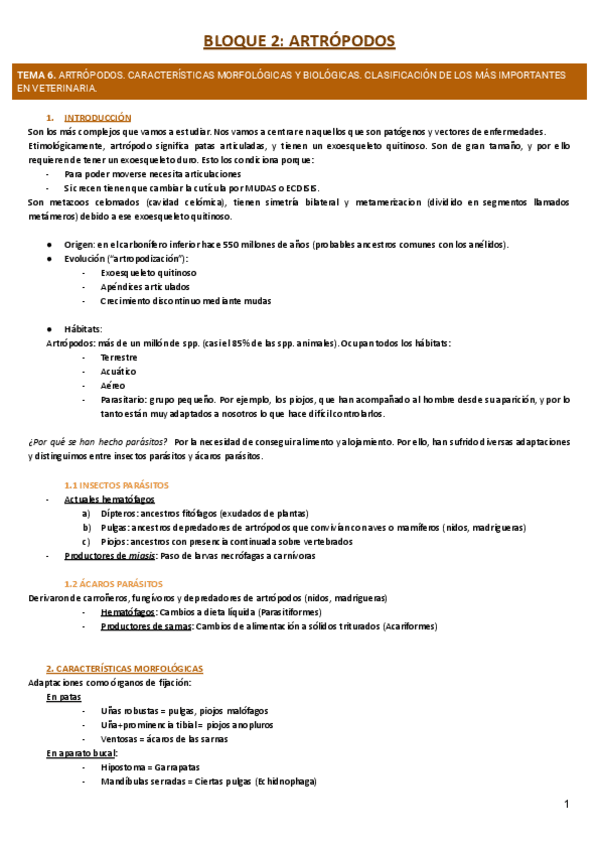 Miniatura del documento Bloque-2-Artropodos.pdf