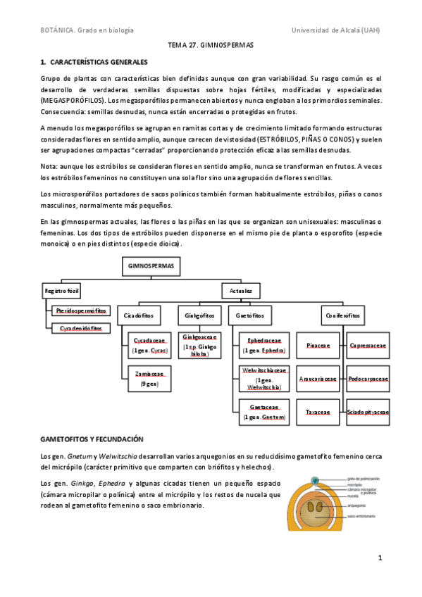 Miniatura del documento Tema-27.pdf
