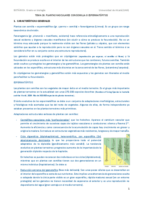Miniatura del documento Tema-26.pdf