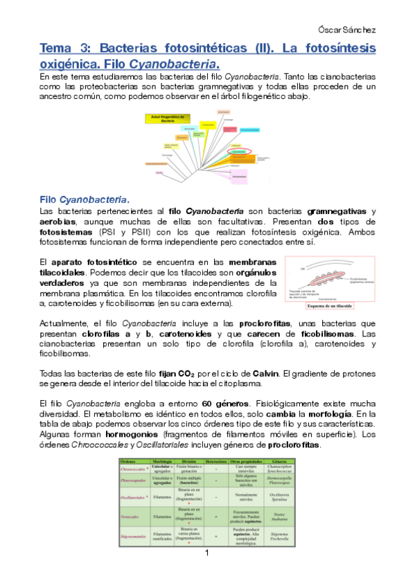 Miniatura del documento Tema-3-Micro-II.pdf