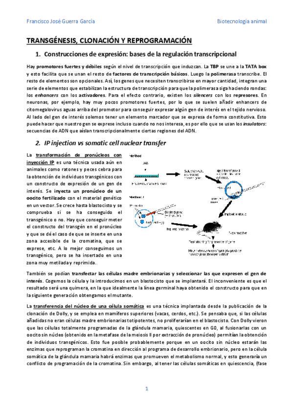 Miniatura del documento Bloque-2.pdf