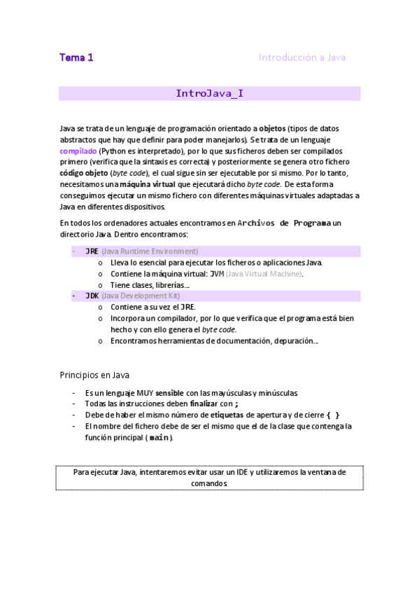 Miniatura del documento 1.IntroJava_I.pdf