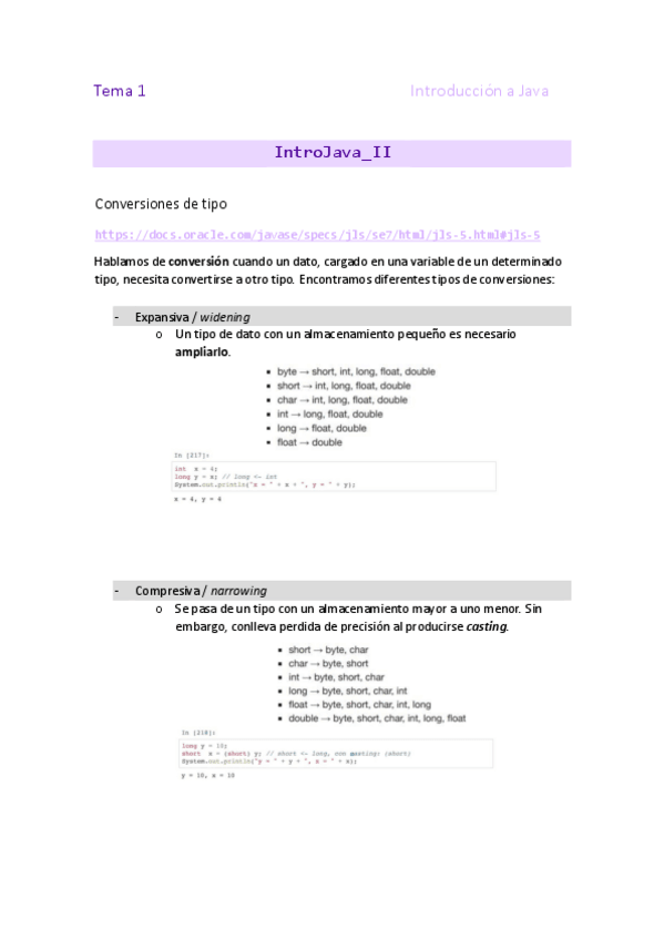 Miniatura del documento 1.IntroJava_II.pdf