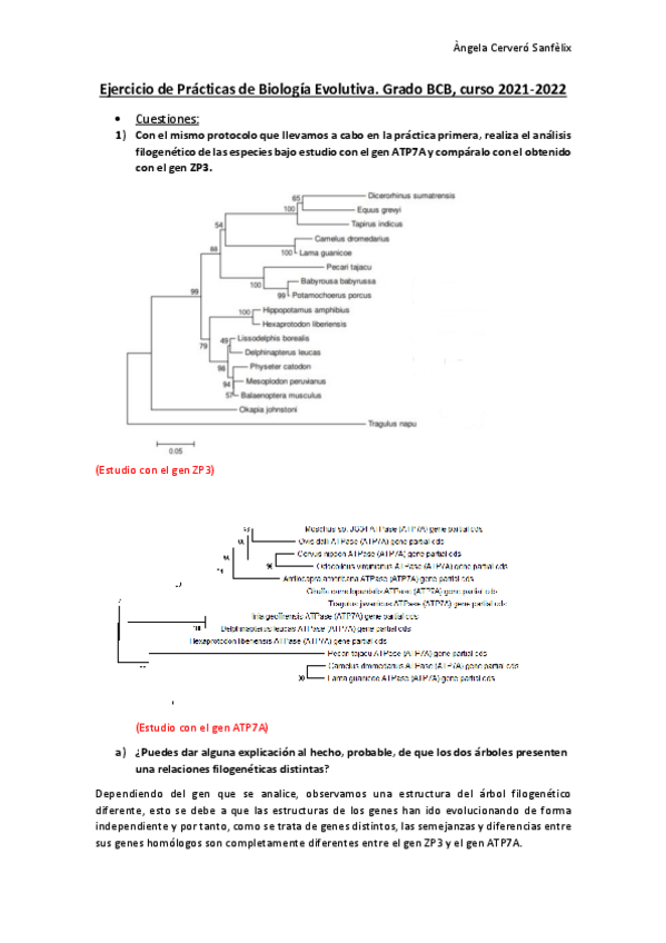 Miniatura del documento BIOINFORMATICA-EJERCICIO.pdf