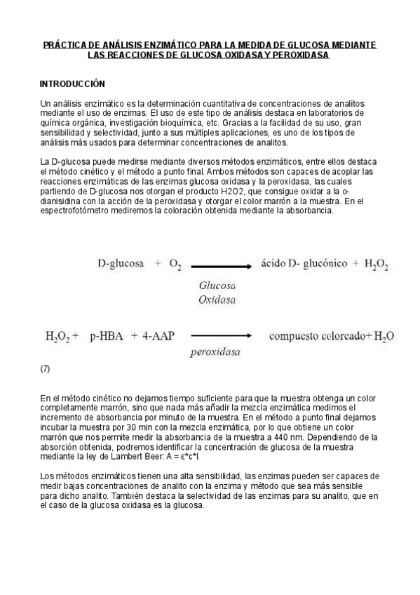 Miniatura del documento Informe-practicas-metodos.pdf