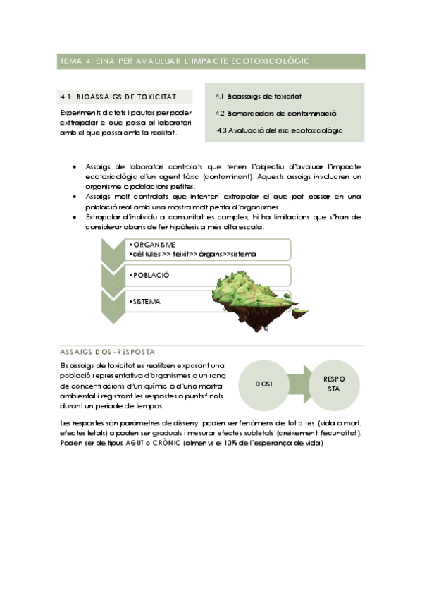 Miniatura del documento TEMA-4.pdf
