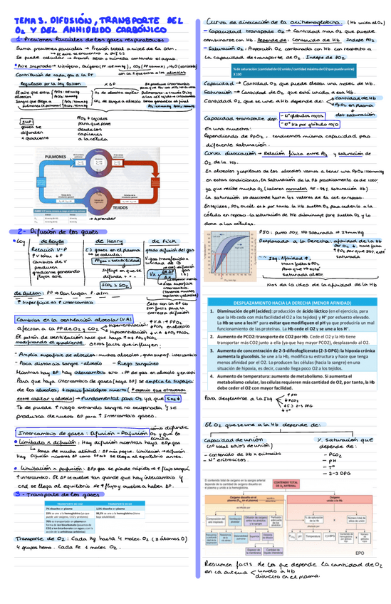 Miniatura del documento Bloque-Respiratorio-T3-Y-T4.pdf
