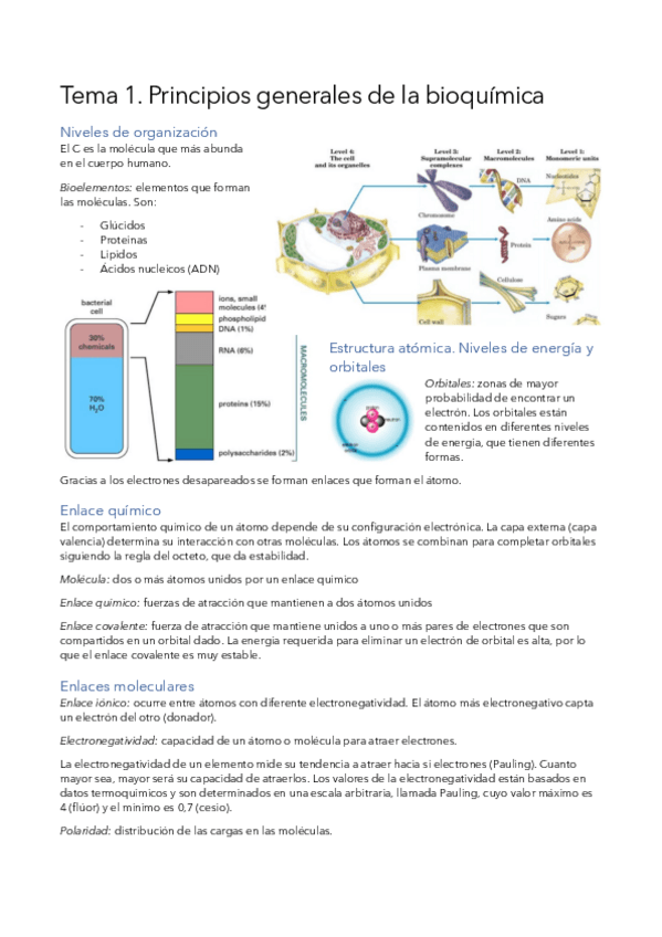 Miniatura del documento Bioquimica.pdf