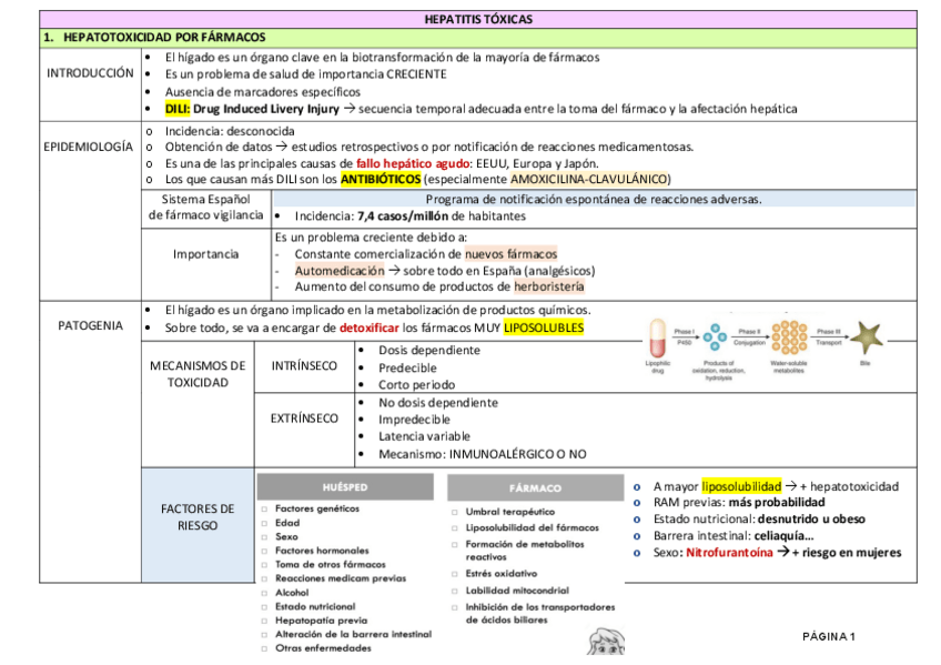Miniatura del documento Tema-4.pdf