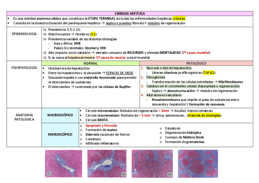 Miniatura del documento Tema-7.pdf