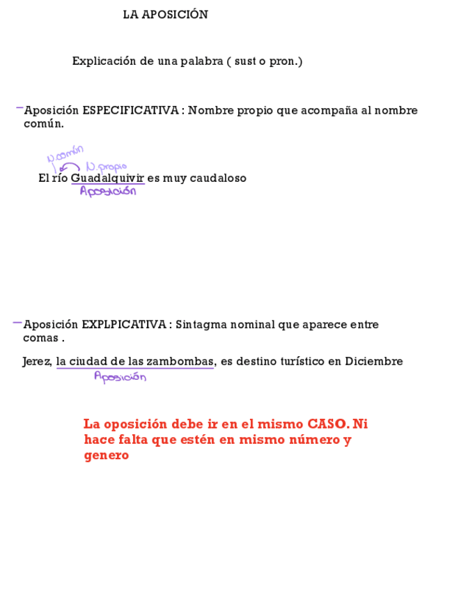 Miniatura del documento LA-APOSICION-latin-.pdf