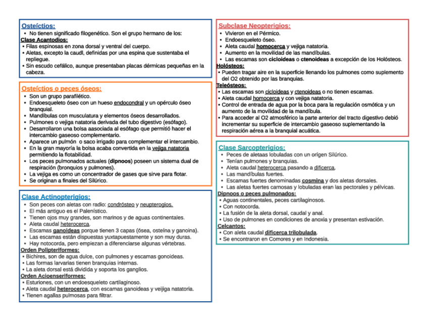 Miniatura del documento Osteictios.pdf