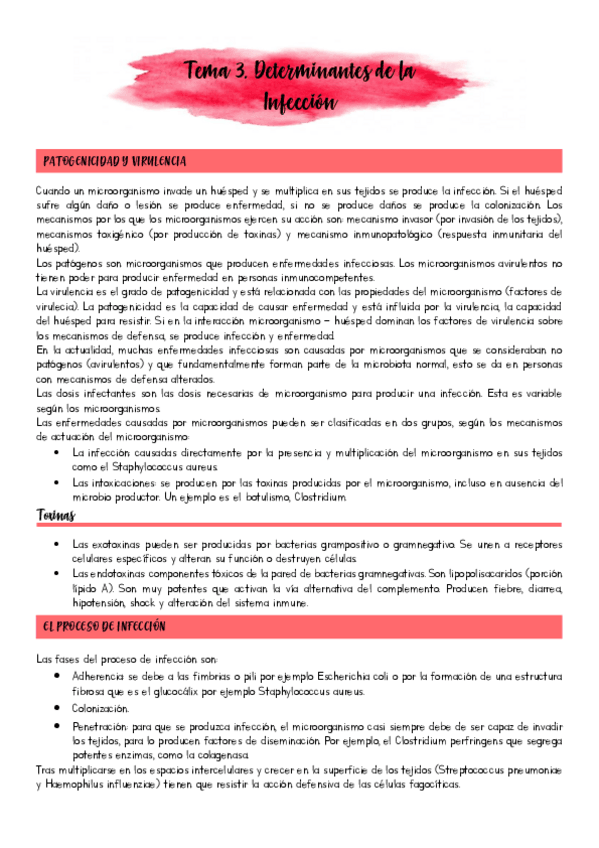 Miniatura del documento Tema-3.pdf