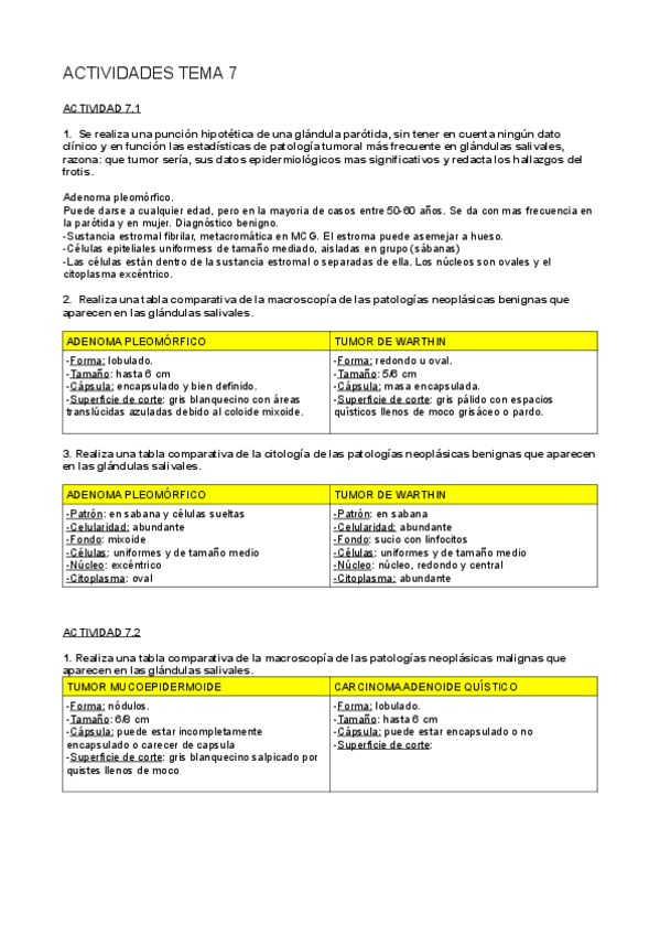 Miniatura del documento actividades-tema-7.pdf