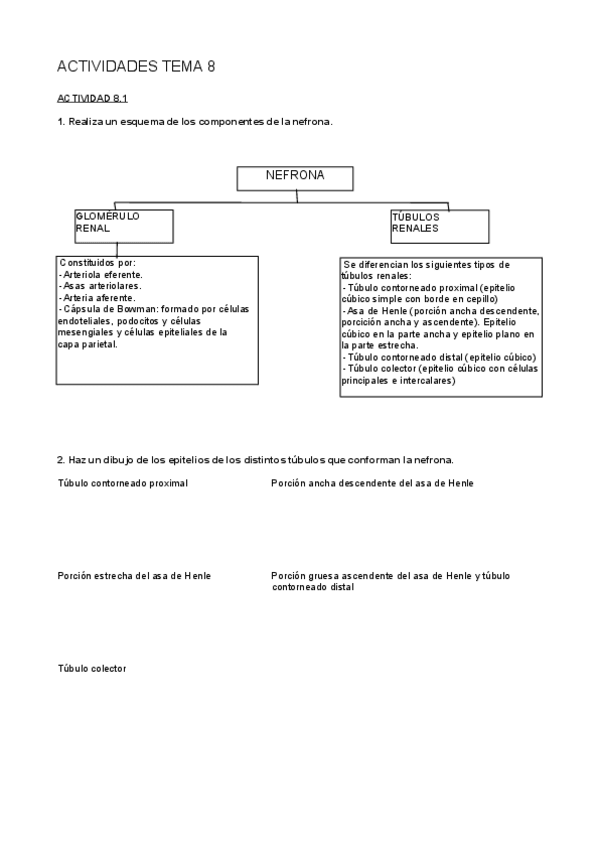Miniatura del documento actividades-tema-8.pdf