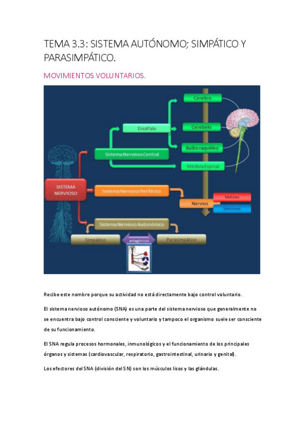 Miniatura del documento t3.pdf