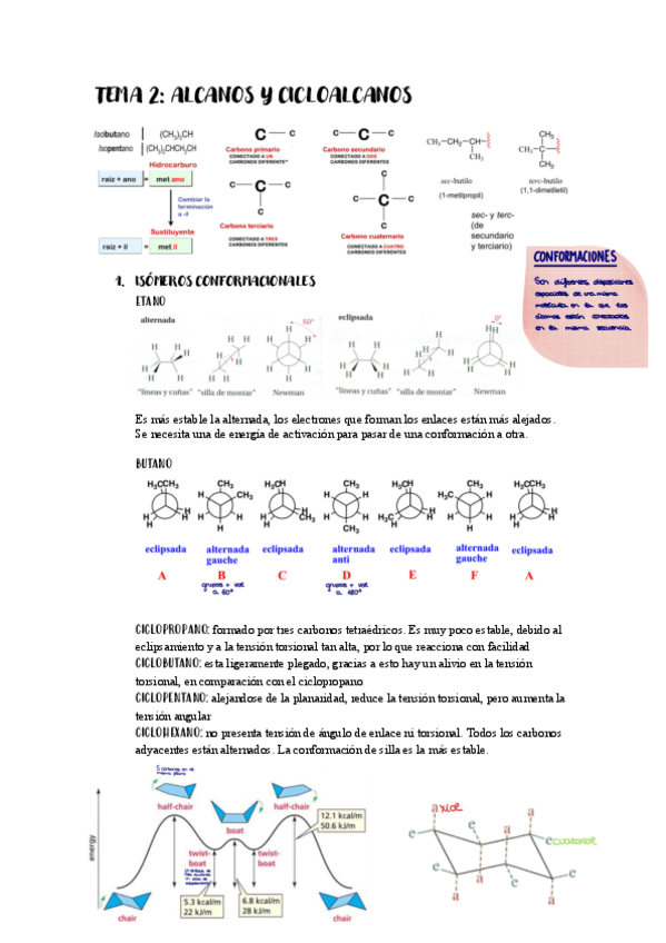 Miniatura del documento TEMA-2-ALCANOS-Y-CICLOALCANOS.pdf