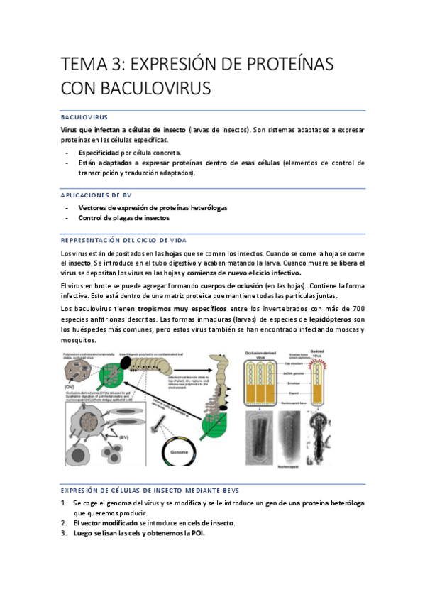 Miniatura del documento INGENIERIA-16-20.pdf