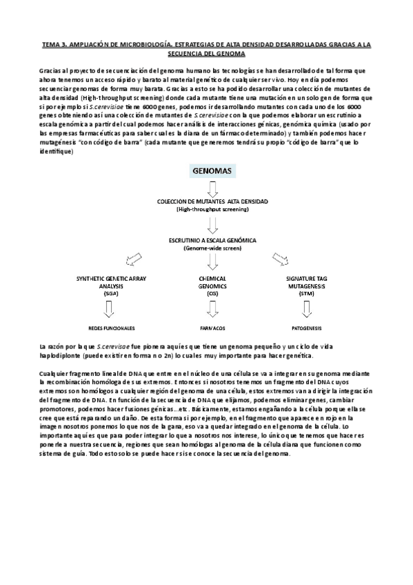 Miniatura del documento Tema-3-Ampli-micro.pdf