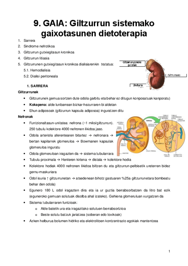 Miniatura del documento 9.pdf