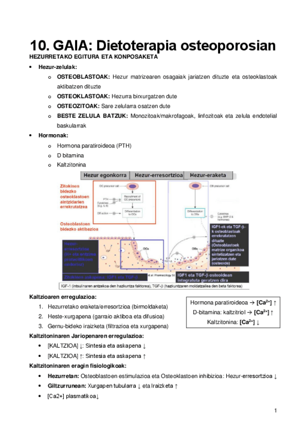 Miniatura del documento 10.pdf
