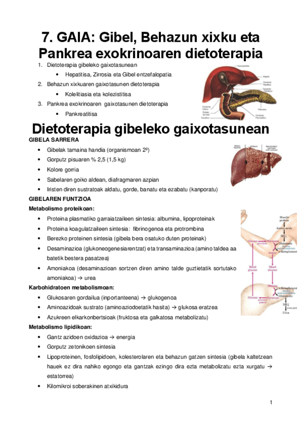 Miniatura del documento 7.pdf