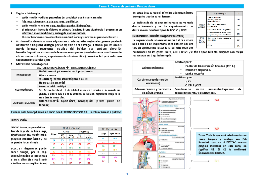 Miniatura del documento Tema-5.pdf